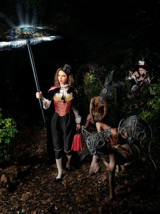 Liliput in the Forest