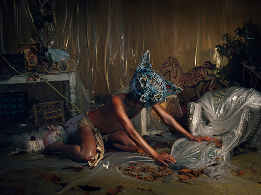 The Cat Makes a Claim